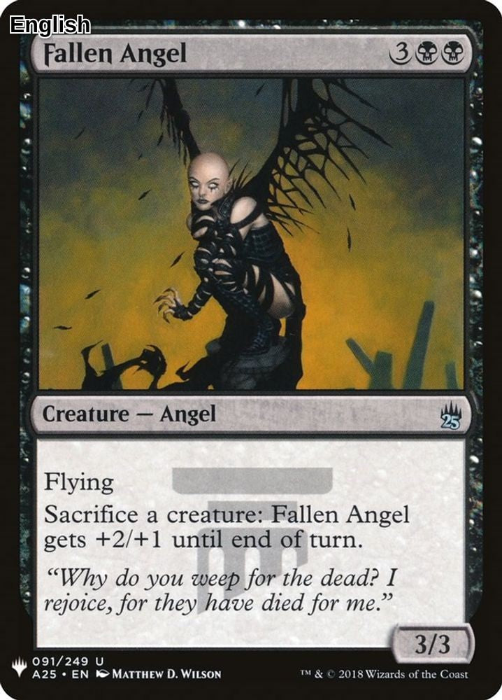 Fallen Angel