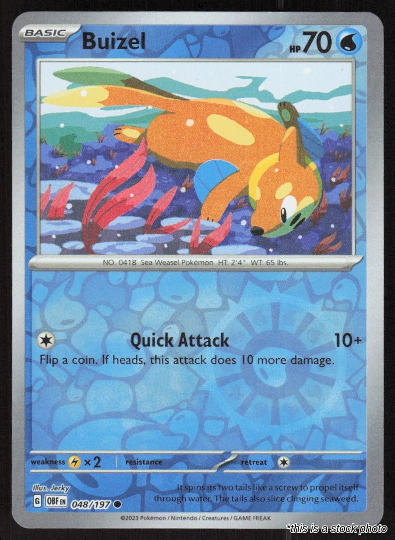 Buizel